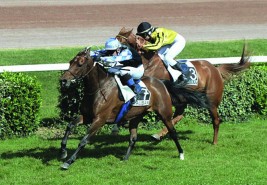 في فرنسا الفرس ماندي عذبة تحقق المركز الأول