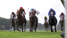 «جت تاوي» يهدي الخيالة العُمانية كأس رئيس دولة الإمارات للخيول العربية في باريس…