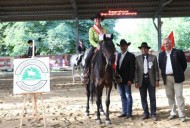 مركز الملك عبدالعزيز للخيل العربية الأصيلة (راعي رئيسي) لبطولة النمسا لرياضة ركوب الخيل
