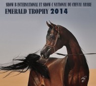 Results of Emerald Trophy International arabian horses B-Show