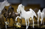 DUBAI INTERNATIONAL HORSE FAIR AND DUBAI INTERNATIONAL ARABIAN HORSE CHAMPIONSHIP OPEN TODAY
