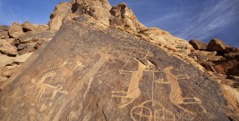 الشدوي: ابن الدمينة سبق العلماء في “استئناس” العرب للخيل