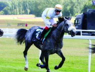 الجولة الثانية إضافة جديدة في مهرجان منصور بن زايد العالمي السادس للخيول