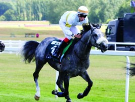 الجولة الثانية إضافة جديدة في مهرجان منصور بن زايد العالمي السادس للخيول