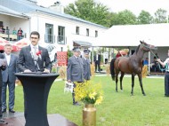 ملك البحرين يهدي بولندا الحصان (كحيلان عافص) إسهاماً في دعم الحفاظ على سلالة الخيل العربية