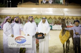 مربط غرناطة يخطف بطولة المواليد بذهبيتين وبرونز ضمن فعاليات بطولة كأس منتجي الخيل العربية الثالثة ٢٠١٤