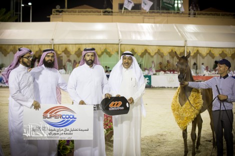 مربط غرناطة يخطف بطولة المواليد بذهبيتين وبرونز ضمن فعاليات بطولة كأس منتجي الخيل العربية الثالثة ٢٠١٤