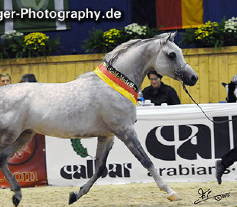 The GERMAN National Show 2010