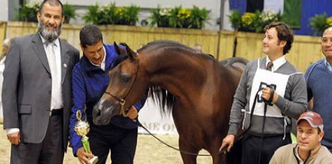 نتائج بطولة كل الأمم  آخن ٢٠١٠ بالصور