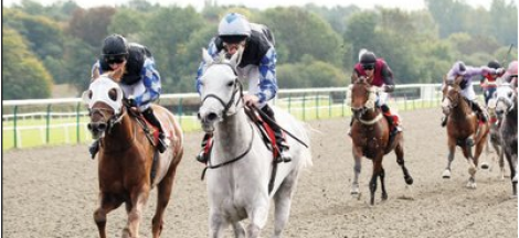 مربط عذبة ينتزع ذهبية وفضية «جروب3»