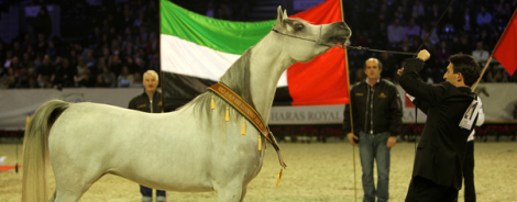 نتائج بطولة العالم باريس بالصور