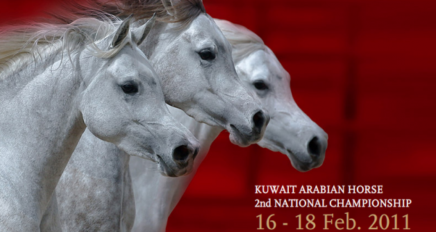 النتائج التفصيلية لبطولة الكويت الوطنية الثانية