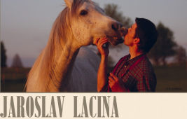 نظام الهيئة الأوروبية لمسابقات جمال الخيل العربية الأصيلة (الإيكاهو ) الكتاب الأزرق 2011