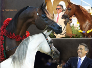 شكراً الخالدية لثقتكم اختيارنا افضل الفحول لكم..