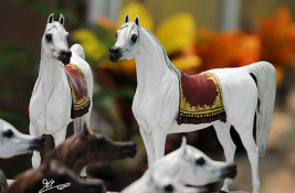 البطولة الدولية الأولى للخيل المصرية بقطر ٢٠١١