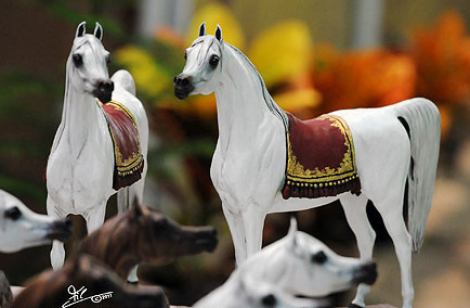 البطولة الدولية الأولى للخيل المصرية بقطر ٢٠١١