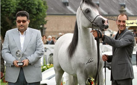 خمس ميداليات للجياد السعودية في بطولة بلجيكا