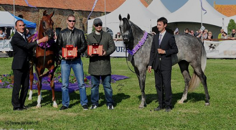 «غانية» تقود صافنات «عذبة» لتدشين موسمها الجديد بذهب «جمال» أوروبا