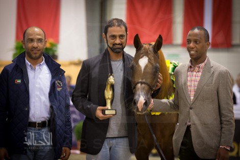 نتائج مصوره لبطولة كأس كل الأمم  آخن ٢٠١٤ لجمال الخيل العربية الأصيلة