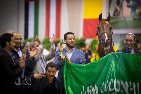 مقتطفات اليوم الختامي لبطولة كأس كل الأمم لجمال الخيل العربية آخن ٢٠١٤