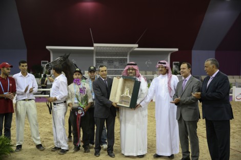 مقتطفات من فعاليات معرض “الفرس” في مدينة الجديدة بالمغرب والبطولة الدولية للجمال