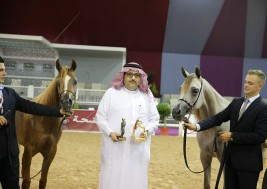 «عذبه» و «الخالدية»  يتحصلان على نصيب الأسد من ذهب بطولة المغرب الدولية السابعة