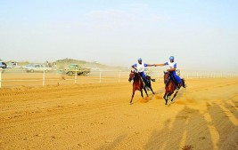 المحمدية تقدم نصف مليون رعاية لمراثون الاصيل الثاني للخيل العربية الاصيلة