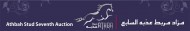 مزاد مربط عذبه السابع للخيل العربية الأصيلة