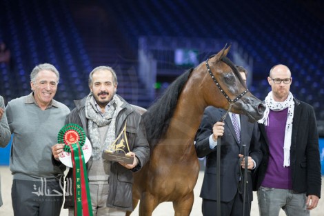 مقتطفات من اليوم الأول من بطولة العالم باريس 2014 لجمال الخيل العربية الأصيلة