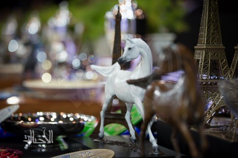 مقتطفات اليوم الختامي من بطولة العالم باريس 2014 لجمال الخيل العربية الأصيلة