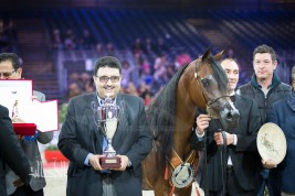 الرائعة «اسبرانزا الفنتور» من مربط عذبه تحقق برونزية كأس العالم ٢٠١٤  لجمال الخيل العربية