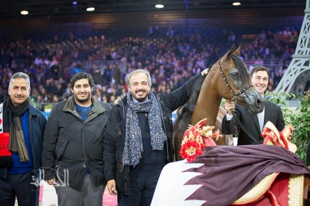 نبذة عن مزرعة خيل : التميز والجمال بمربط الزبير للخيل العربية الأصيلة