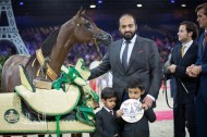 PARIS 2014 – The World Arabian Horses Championships Final Results with Photos