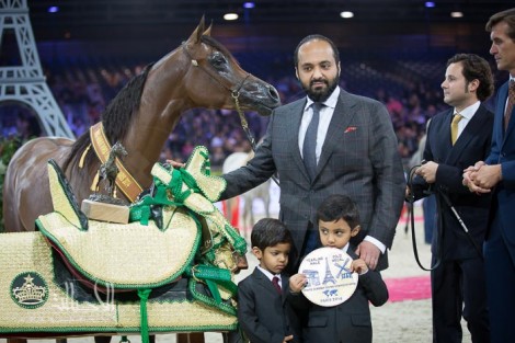 النتائج النهائية بالصور لبطولة العالم باريس 2014 لجمال الخيل العربية الأصيلة
