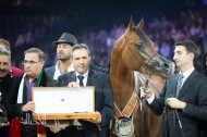 جياد مربط دبي تحقق ثلاث ألقاب ثمينة ببطولة العالم باريس ٢٠١٤ لجمال الخيل العربية الأصيلة