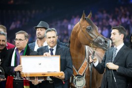 جياد مربط دبي تحقق ثلاث ألقاب ثمينة ببطولة العالم باريس ٢٠١٤ لجمال الخيل العربية الأصيلة