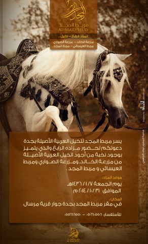 مزاد مربط المجد