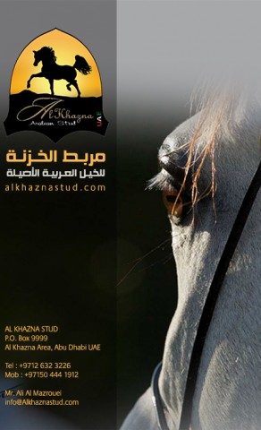 مربط الخزنه