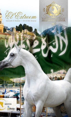 اوم الإكستريم