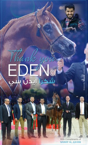 شكراً ايدن سي من نواف الجهني