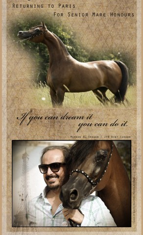 نجدة الزبير اعلان