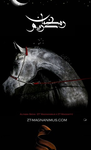 تهنئة رمضان مربط اللنجاوي