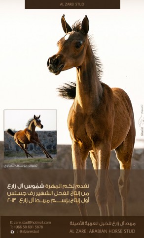 مربط آل زارع