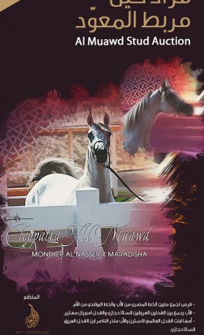 مزاد مربط المعود ٣