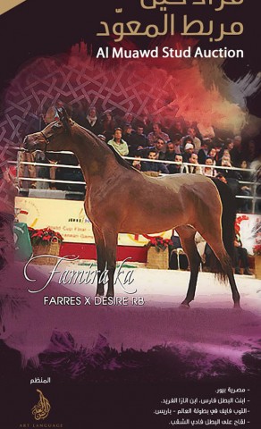 مزاد مربط المعود ٢