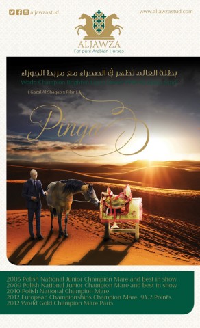 إعلان بنجا من مربط الجوزاء