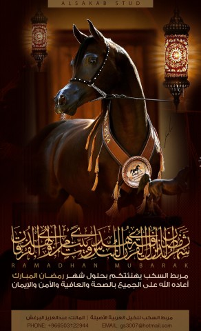 تهنئة شهر رمضان من مربط السكب