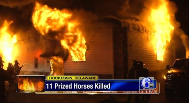 At least 10 Arabian horses die in barn fire in Delaware, in the United States