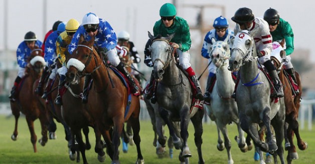 الشقب يفوز بداربي قطر للخيل العربية