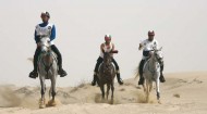 رماح تحتضن السباق التأهيلي لبطولة مربط المحمدية لماراثون الخيل العربية الأصيلة